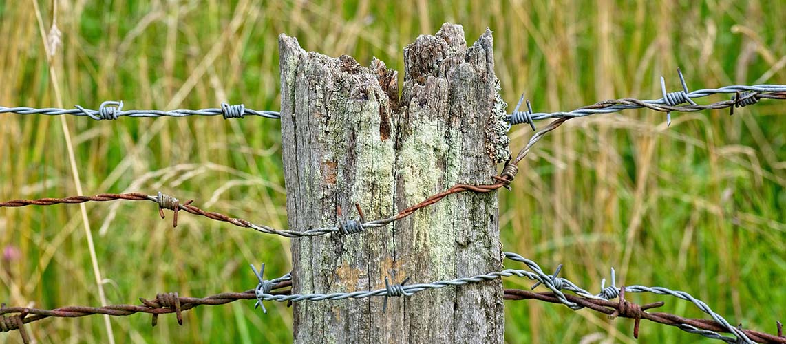 engrillagement espace naturel