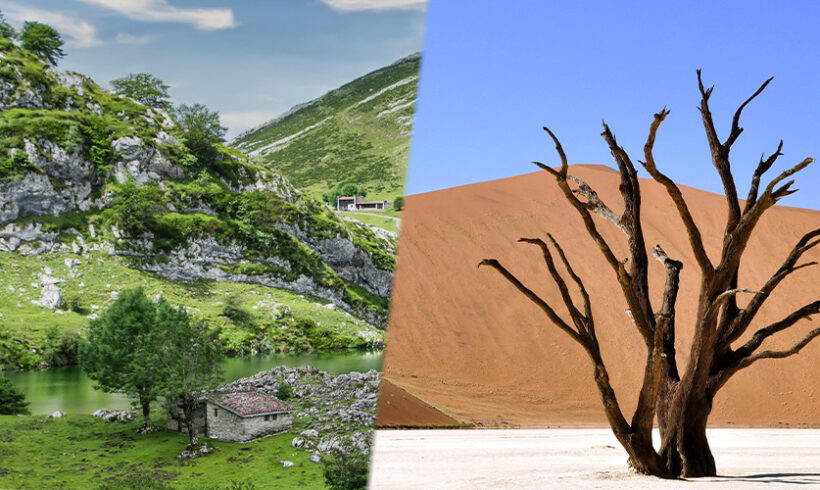 Absence de carence fautive et de responsabilité sans faute de l’État dans le tarissement des sources d’Auvergne