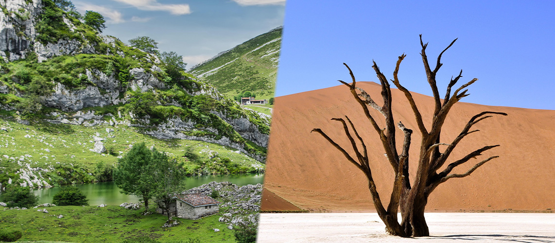 tarissement de sources carence fautive