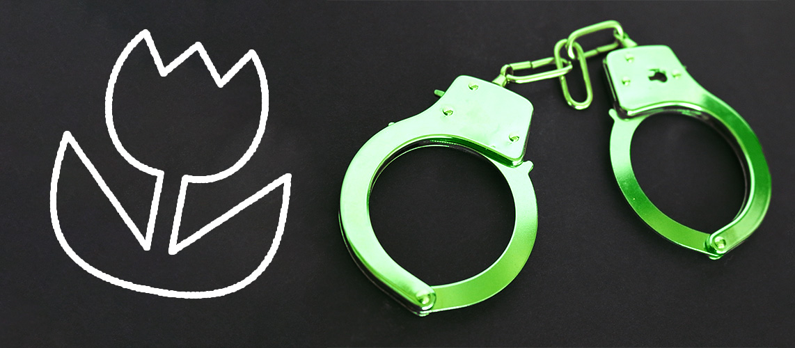 droit pénal environnemental