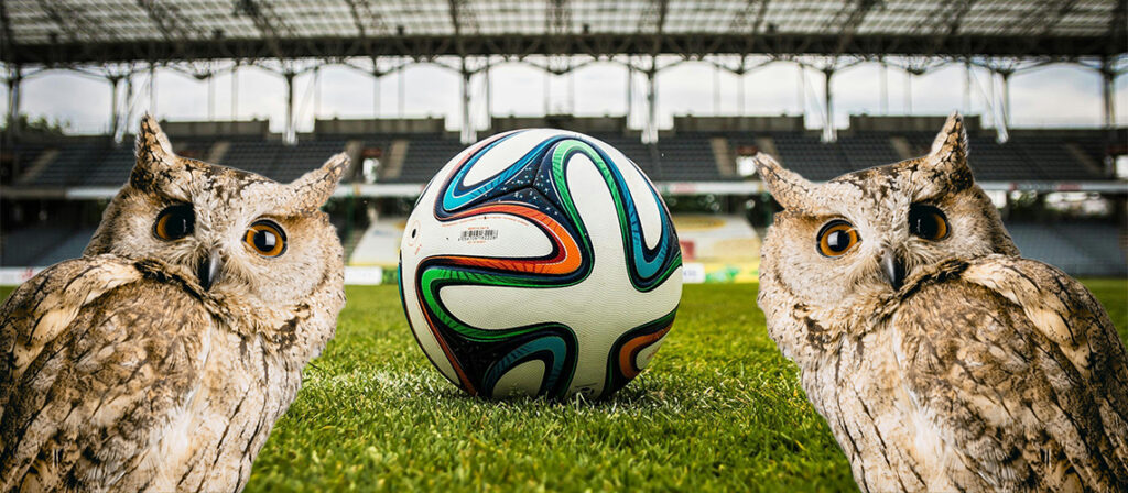 football intérêt public majeur chouette