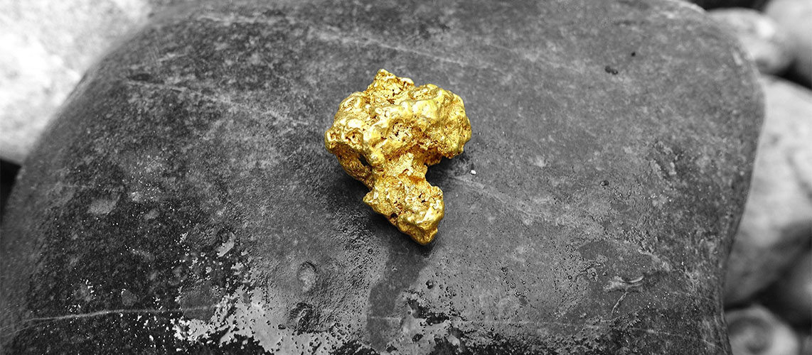 préjudice écologique or