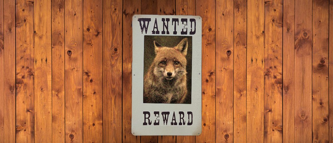 Le principe de prévention et les animaux nuisibles