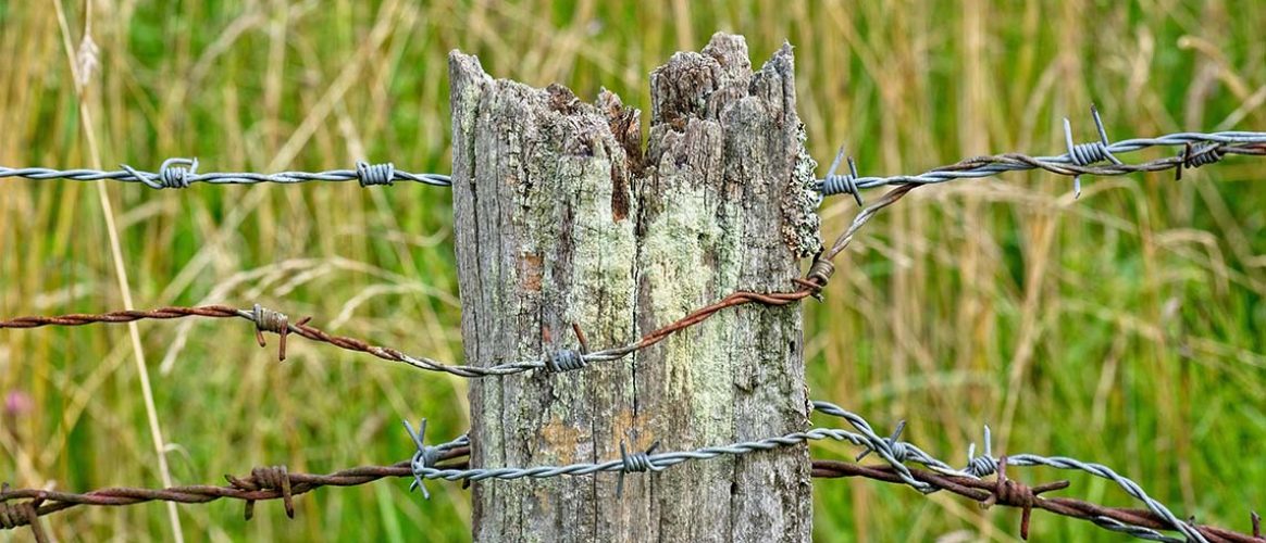 Engrillagement transparent d’espaces naturels : l’administration n’a pas à en attester