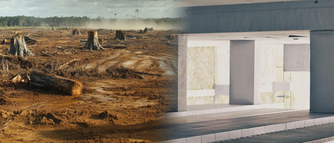 La consommation effective d’espaces naturels selon le Conseil d’État