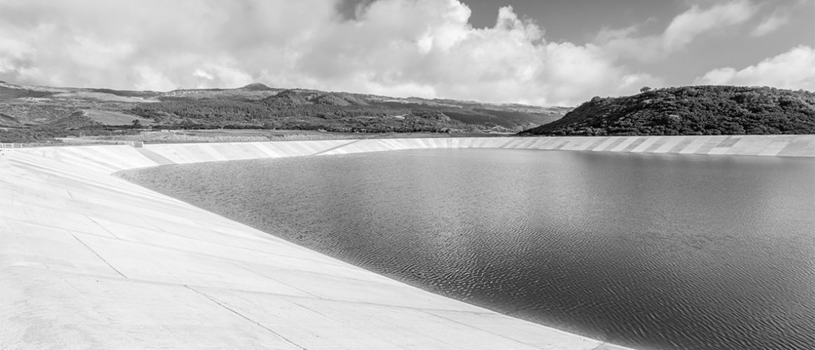 Espèces protégées : absence de raison impérative d’intérêt public majeur pour une retenue d’eau