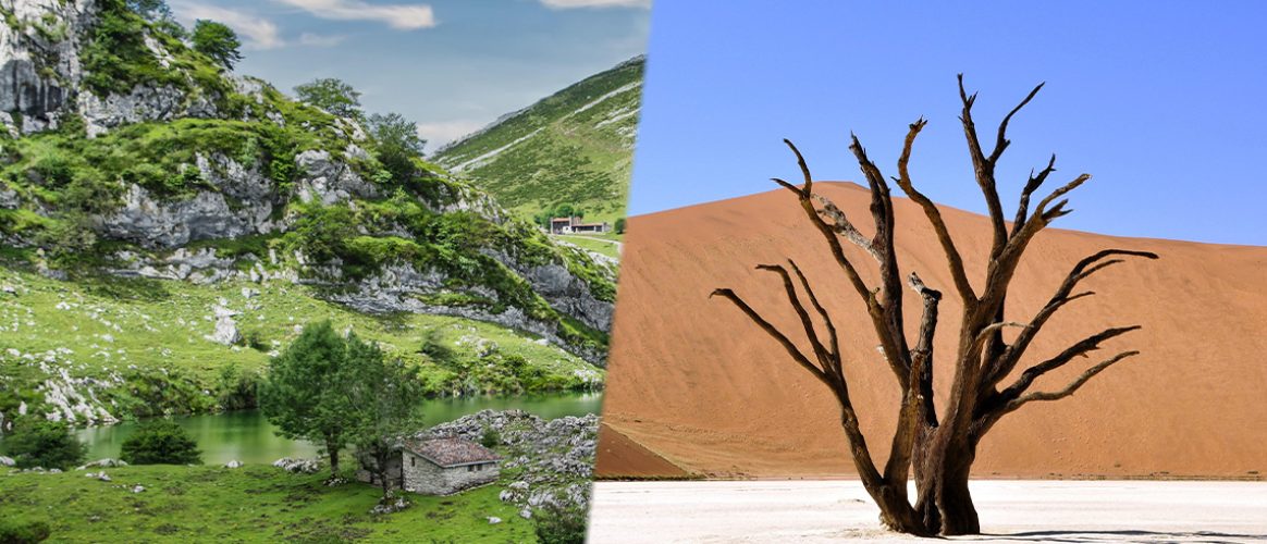 Absence de carence fautive et de responsabilité sans faute de l’État dans le tarissement des sources d’Auvergne